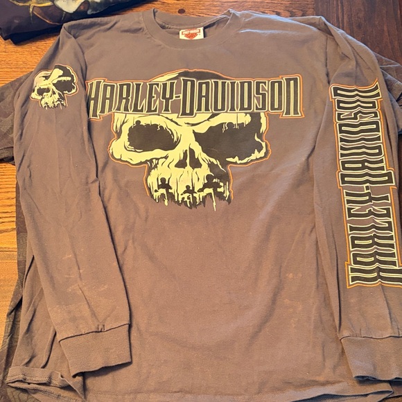 Harley-Davidson Skull and Logo long sleeve T-Shirts - Black and Gray - Picture 10 of 11